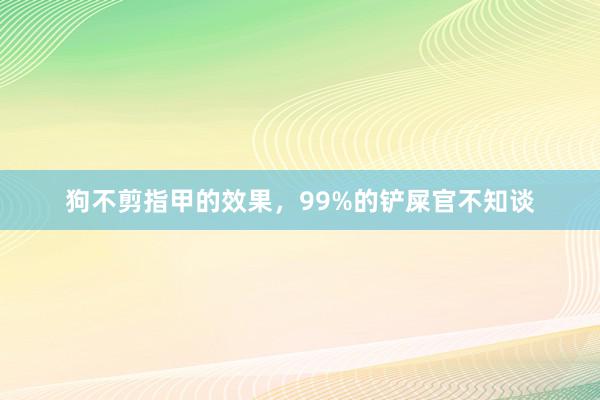 狗不剪指甲的效果，99%的铲屎官不知谈