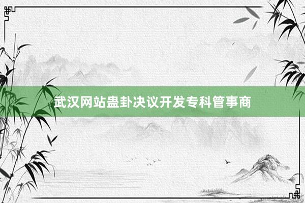 武汉网站蛊卦决议开发专科管事商
