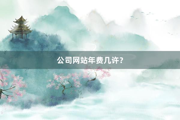 公司网站年费几许？