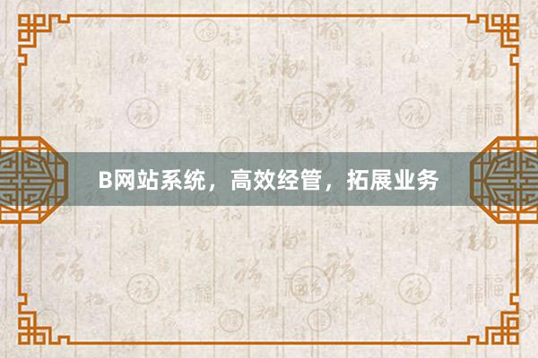 B网站系统，高效经管，拓展业务