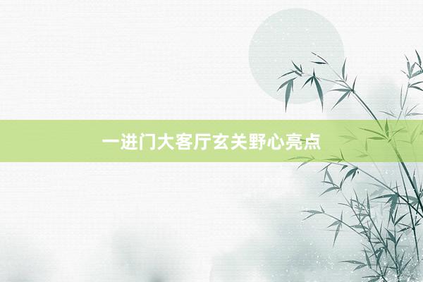 一进门大客厅玄关野心亮点