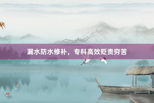 漏水防水修补，专科高效贬责穷苦