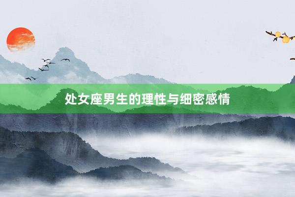 处女座男生的理性与细密感情