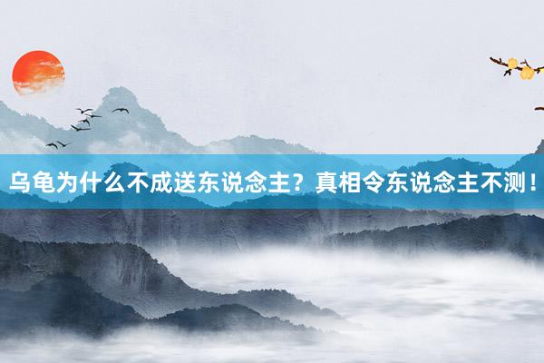 乌龟为什么不成送东说念主？真相令东说念主不测！